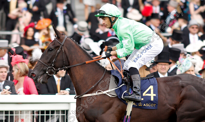 JM-Jackson-0001 
 JM JACKSON (Silvestre De Sousa)
Royal Ascot 21 Jun 2019 - Pic Steven Cargill / Racingfotos.com