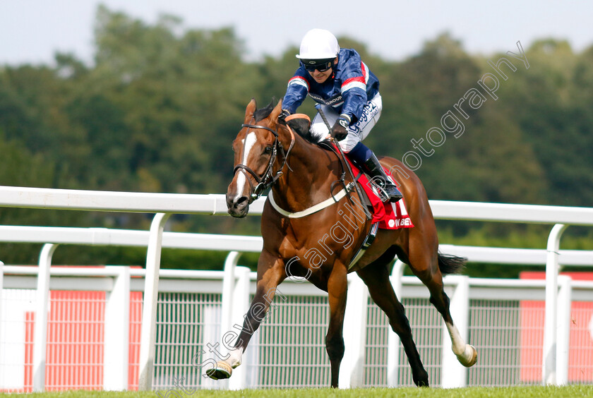 Dual-Identity-0007 
 DUAL IDENTITY (Marco Ghiani) wins The Virgin Bet Handicap
Sandown 2 Sep 2023 - Pic Steven Cargill / Racingfotos.com