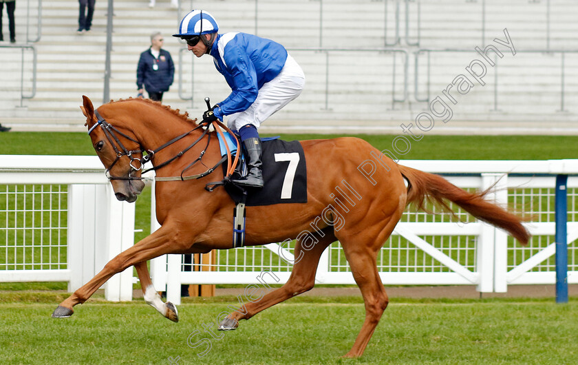 Fayqa-0001 
 FAYQA (Jim Crowley)
Ascot 1 May 2024 - Pic Steven Cargill / Racingfotos.com