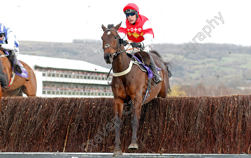 Slate-House-0001 
 SLATE HOUSE (Robbie Power)
Cheltenham 11 Mar 2020 - Pic Steven Cargill / Racingfotos.com