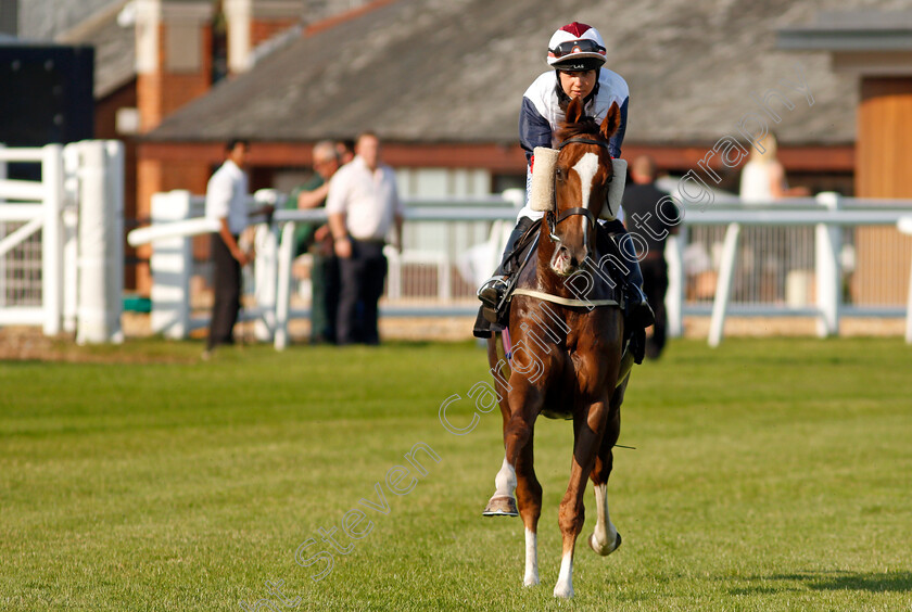 Estrela-Star-0001 
 ESTRELA STAR (Sophie Smith) winner of The Taste Newbury Amateur Jockeys Handicap
Newbury 22 Jul 2021 - Pic Steven Cargill / Racingfotos.com