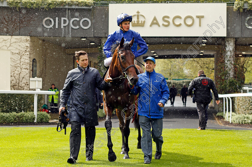 Dathanna-0005 
 DATHANNA (William Buick) after The Sky Bet Supporting Spinal Injuries Association British EBF Fillies Stakes Ascot 2 May 2018 - Pic Steven Cargill / Racingfotos.com