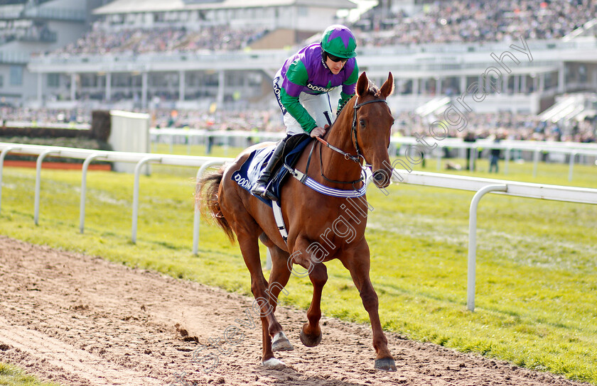 Delegate-0002 
 DELEGATE (Brian Hughes) Aintree 14 Apr 2018 - Pic Steven Cargill / Racingfotos.com