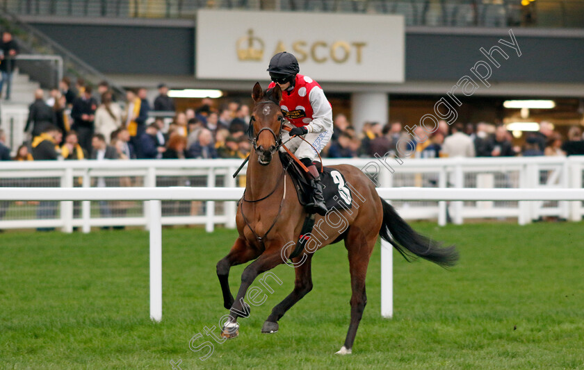 Briery-Butterfly-0001 
 BRIERY BUTTERFLY (Alice Stevens)
Ascot 17 Feb 2024 - Pic Steven Cargill / Racingfotos.com