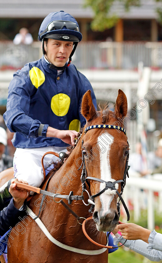 Swingalong-0008 
 SWINGALONG (Clifford Lee) winner of The Sky Bet Lowther Stakes
York 18 Aug 2022 - Pic Steven Cargill / Racingfotos.com