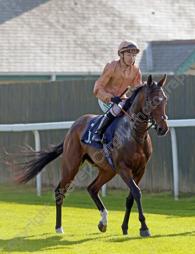 Cromarty 
 CROMARTY (Jamie Spencer)
Yarmouth 19 Oct 2021 - Pic Steven Cargill / Racingfotos.com