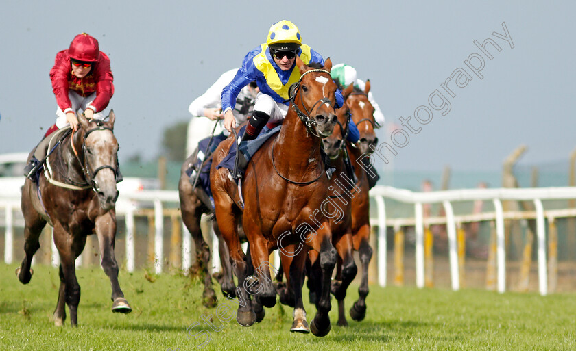 Mighty-Ulysses-0006 
 MIGHTY ULYSEES (Robert Havlin) wins The British Stallion Studs EBF Maiden Stakes
Yarmouth 16 Sep 2021 - Pic Steven Cargill / Racingfotos.com