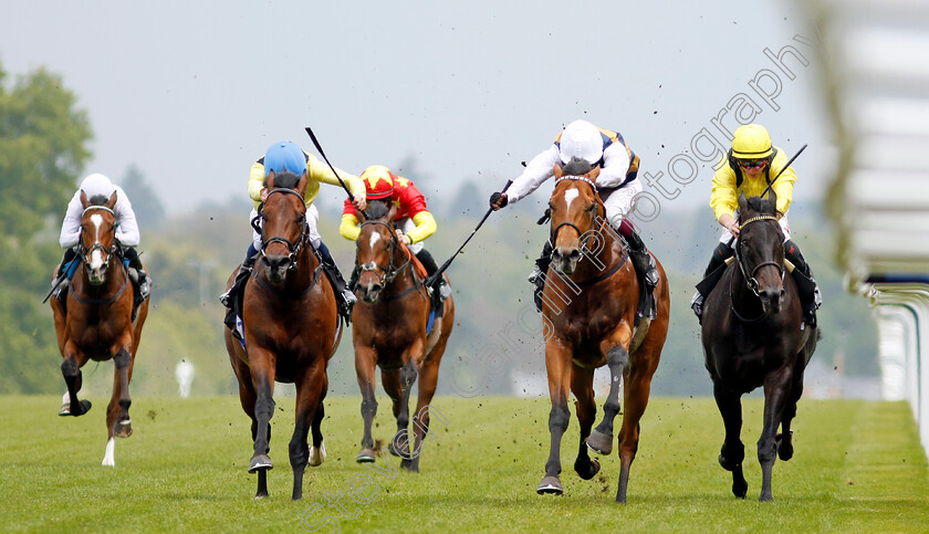 Quddwah-0005 
 QUDDWAH (left, William Buick) beats DOCKLANDS (2nd right) in The Bet With Ascot Donation Scheme Paradise Stakes
Ascot 1 May 2024 - Pic Steven Cargill / Racingfotos.com