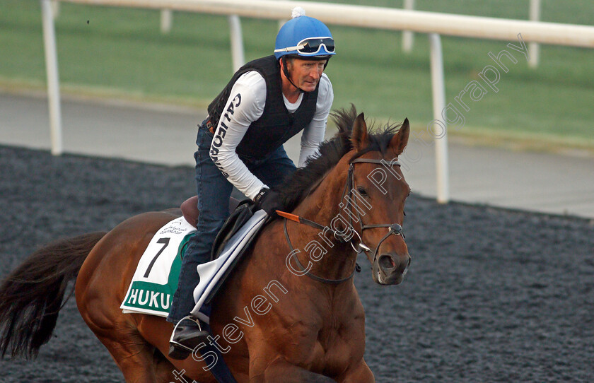 Hukum-0003 
 HUKUM training for the Sheema Classic
Meydan, Dubai, 22 Mar 2022 - Pic Steven Cargill / Racingfotos.com