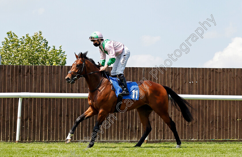 Wild-Mountain-0001 
 WILD MOUNTAIN (Kieran Shoemark)
Leicester 1 Jun 2021 - Pic Steven Cargill / Racingfotos.com