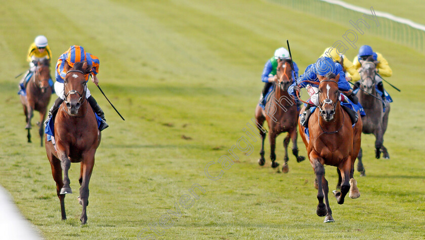 New-World-Tapestry-0006 
 NEW WORLD TAPESTRY (left, Ryan Moore) beats COLOUR IMAGE (right) in The Derrinstown Irish EBF Maiden Stakes
Newmarket 27 Sep 2019 - Pic Steven Cargill / Racingfotos.com