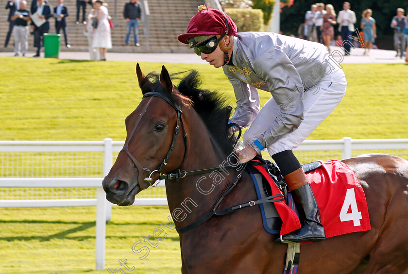 Delsheer-0001 
 DELSHEER (James Doyle) Sandown 1 Sep 2017 - Pic Steven cargill / Racingfotos.com