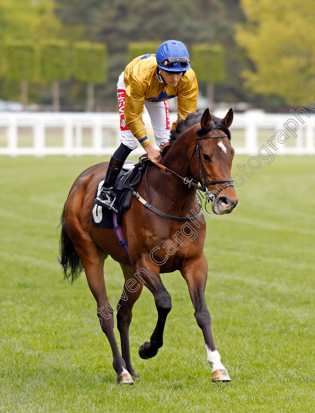 Mark-Of-Respect 
 MARK OF RESPECT (Tyler Heard)
Ascot 27 Apr 2022 - Pic Steven Cargill / Racingfotos.com