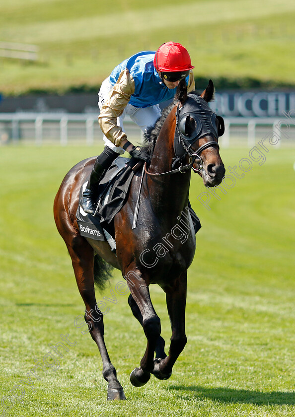 Native-American-0001 
 NATIVE AMERICAN (James Doyle)
Goodwood 2 Aug 2024 - Pic Steven Cargill / Racingfotos.com