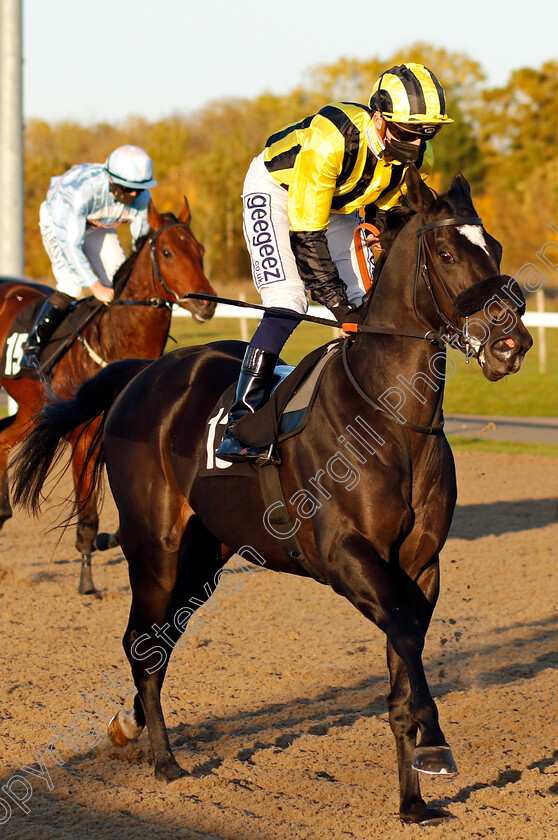 Livia-The-Empress-0004 
 LIVIA THE EMPRESS (David Probert)
Chelmsford 22 Oct 2020 - Pic Steven Cargill / Racingfotos.com