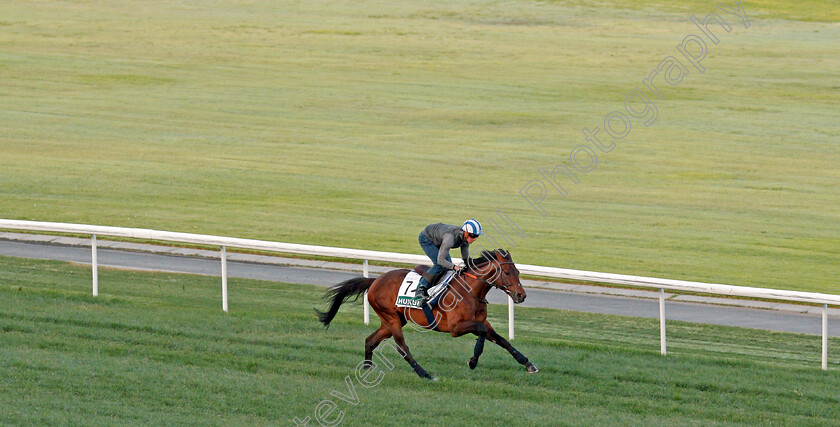 Hukum-0003 
 HUKUM (Jim Crowley) training for The Sheema Classic
Meydan, Dubai, 24 Mar 2022 - Pic Steven Cargill / Racingfotos.com