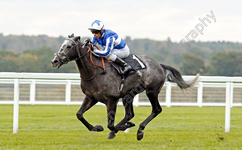 Morando-0004 
 MORANDO (Silvestre De Sousa) wins The Property Raceday Cumberland Lodge Stakes
Ascot 5 Oct 2019 - Pic Steven Cargill / Racingfotos.com