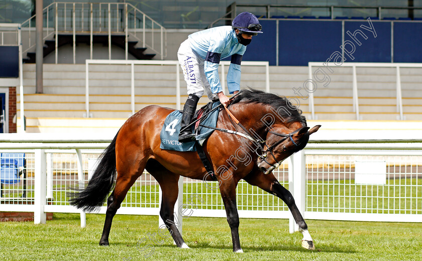 Spycatcher-0002 
 SPYCATCHER (Ryan Moore)
Newbury 15 May 2021 - Pic Steven Cargill / Racingfotos.com