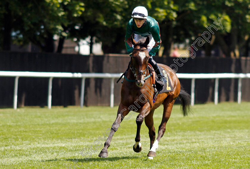 Truely-Aclaimed 
 TRUELY ACLAIMED (Oisin McSweeney)
Newmarket 9 Jul 2022 - Pic Steven Cargill / Racingfotos.com