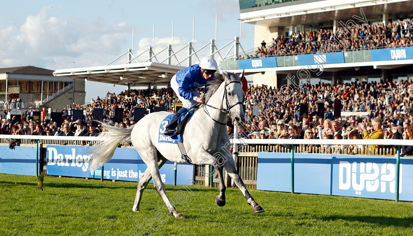 Highland-Avenue-0002 
 HIGHLAND AVENUE (William Buick) wins The Darley Stakes
Newmarket 14 Oct 2023 - Pic Steven Cargill / Racingfotos.com