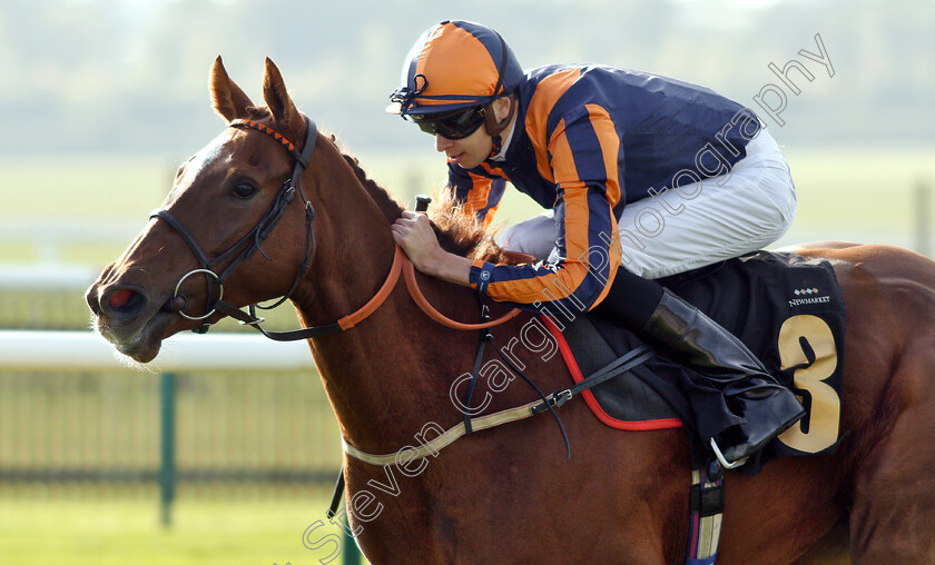 Garrel-Glen-0007 
 GARREL GLEN (Louis Steward) wins The Shepherd Compello & EPG Fillies Novice Median Auction Stakes Div2
Newmarket 24 Oct 2018 - Pic Steven Cargill / Racingfotos.com