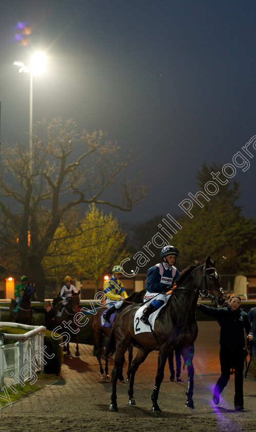 Birds-Of-Prey-0002 
 BIRDS OF PREY (Megan Nicholls) Kempton 11 Apr 2018 - Pic Steven Cargill / Racingfotos.com