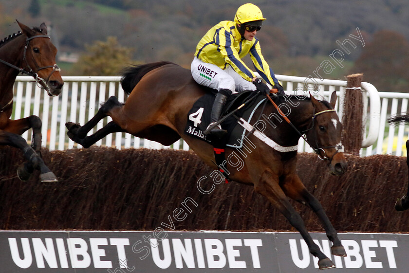 Peaky-Boy-0002 
 PEAKY BOY (Nico de Boinville) wins the mallardjewellers.com Novices Handicap Chase
Cheltenham 17 Nov 2024 - Pic Steven Cargill / racingfotos.com