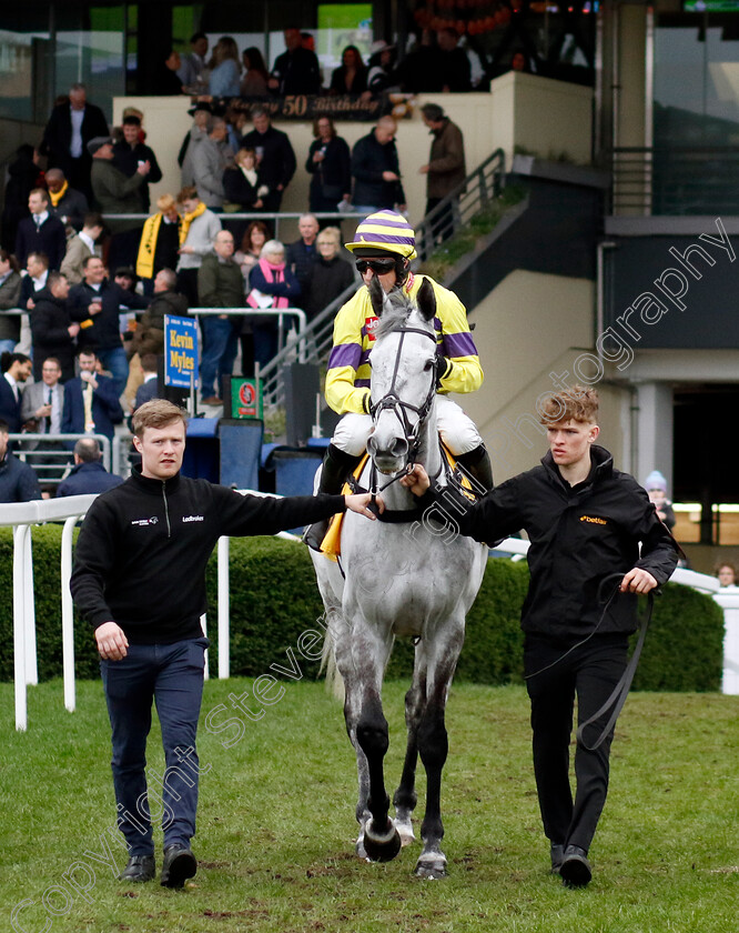 Sail-Away-0001 
 SAIL AWAY (Harry Skelton)
Ascot 17 Feb 2024 - Pic Steven Cargill / Racingfotos.com