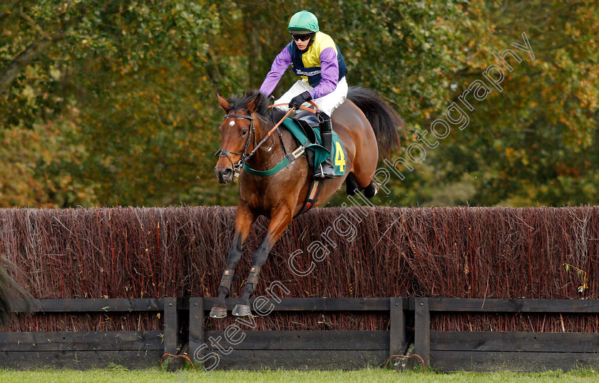 Liffeydale-Dreamer-0002 
 LIFFEYDALE DREAMER (Jonathan England)
Fakenham 16 Oct 2020 - Pic Steven Cargill / Racingfotos.com