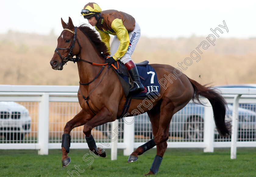 The-Mighty-Don-0001 
 THE MIGHTY DON (Richard Johnson)
Ascot 22 Dec 2018 - Pic Steven Cargill / Racingfotos.com