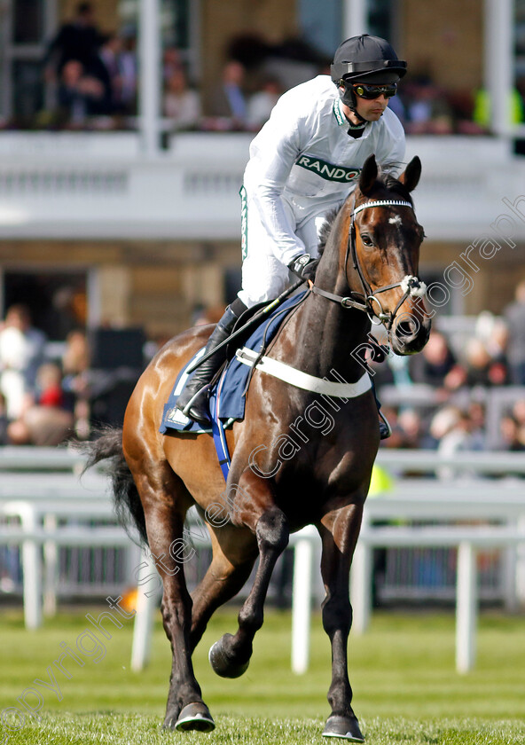 Constitution-Hill-0017 
 CONSTITUTION HILL (Nico de Boinville) winner of The William Hill Aintree Hurdle
Aintree 13 Apr 2023 - Pic Steven Cargill / Racingfotos.com