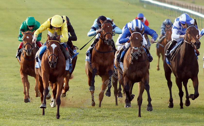 Nearooz-0002 
 NEAROOZ (left, David Egan) beats WATHEERAH (centre) in The Godolphin Under Starters Orders Maiden Fillies Stakes Div1
Newmarket 12 Oct 2018 - Pic Steven Cargill / Racingfotos.com