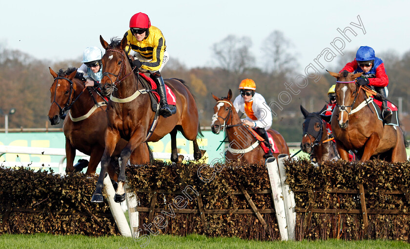 Castelfort-0005 
 CASTELFORT (David Noonan) wins The betting.betfair.com Introductory Juvenile Hurdle
Sandown 8 Dec 2023 - pic Steven Cargill / Racingfotos.com