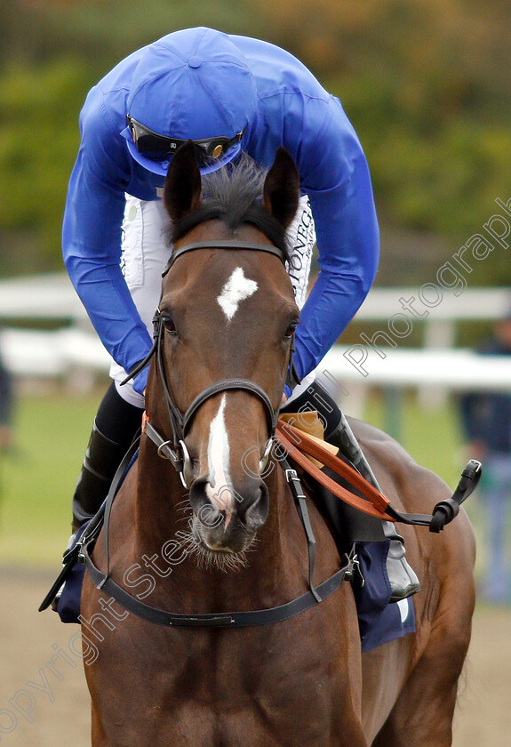 Silent-Hunter-0001 
 SILENT HUNTER (Hector Crouch)
Lingfield 4 Oct 2018 - Pic Steven Cargill / Racingfotos.com