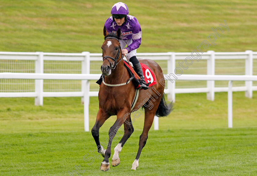 Respiro-Solitario-0001 
 RESPIRO SOLITARIO (Lewis Edmunds)
Sandown 25 Jul 2024 - Pic Steven Cargill / Racingfotos.com