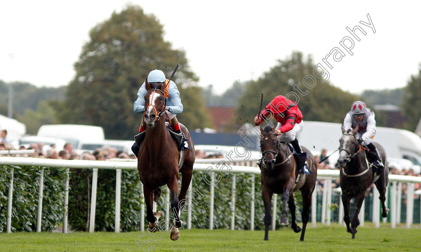 Leroy-Leroy-0001 
 LEROY LEROY (Andrea Atzeni) wins The Napoleons Casinos & Restaurants Nursery
Doncaster 15 Sep 2018 - Pic Steven Cargill / Racingfotos.com