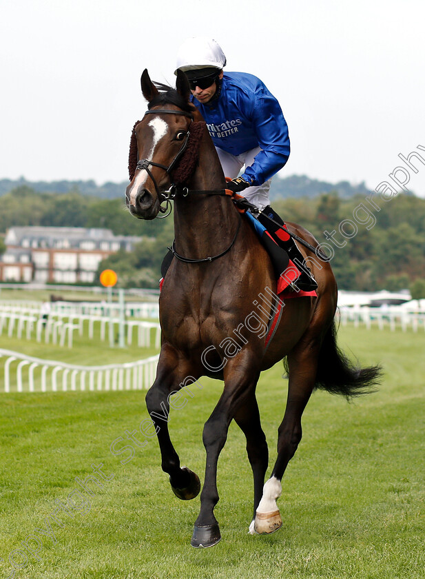 Oasis-Charm-0001 
 OASIS CHARM (Brett Doyle)
Sandown 5 Jul 2019 - Pic Steven Cargill / Racingfotos.com