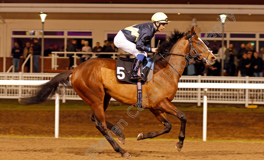 Natch-0001 
 NATCH (Nicky Mackay) Chelmsford 21 Dec 2017 - Pic Steven Cargill / Racingfotos.com