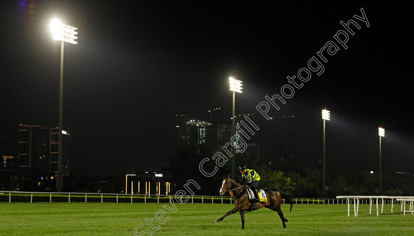 Danon-Beluga-0001 
 DANON BELUGA training for The Dubai Turf
Meydan Dubai 27 Mar 2024 - Pic Steven Cargill / Racingfotos.com