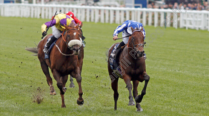 Donjuan-Triumphant-0004 
 DONJUAN TRIUMPHANT (Silvestre De Sousa) beats BRANDO (left) in The Qipco British Champions Sprint Stakes
Ascot 19 Oct 2019 - Pic Steven Cargill / Racingfotos.com