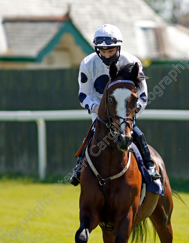 Top-Exhibit-0001 
 TOP EXHIBIT (Adam McNamara)
Yarmouth 9 Jun 2021 - Pic Steven Cargill / Racingfotos.com