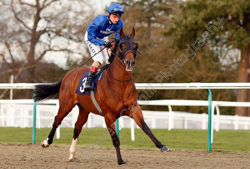 Marhaban-0001 
 MARHABAN (Adam Kirby) winner of The Ladbrokes Home Of The Odds Boost Novice Stakes
Lingfield 18 Jan 2019 - Pic Steven Cargill / Racingfotos.com