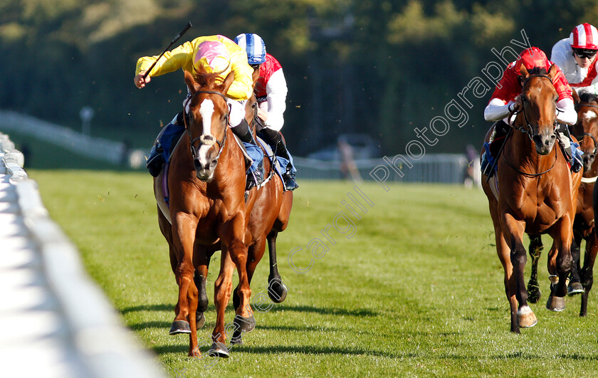 Naughty-Rascal-0006 
 NAUGHTY RASCAL (Tom Marquand) wins The Myddleton & Major Conditions Stakes
Salisbury 3 Oct 2018 - Pic Steven Cargill / Racingfotos.com