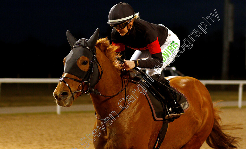 Gentlemen-0004 
 GENTLEMEN (Josephine Gordon) wins The totepool Cashback Club At totesport.com Handicap
Chelmsford 20 Feb 2019 - Pic Steven Cargill / Racingfotos.com