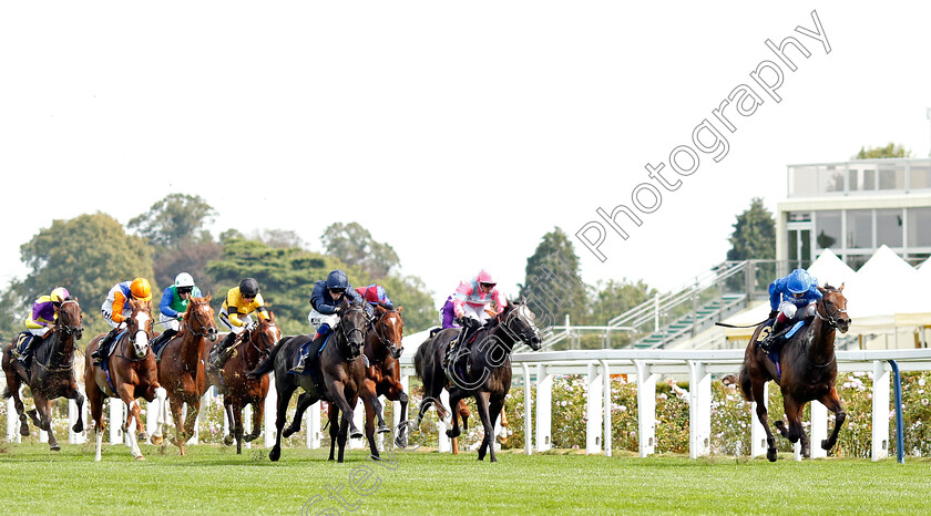 Olympic-Candle-0005 
 OLYMPIC CANDLE (Oisin Murphy) wins The Charbonnel Et Walker British EBF Maiden Stakes
Ascot 8 Sep 2023 - Pic Steven Cargill / Racingfotos.com