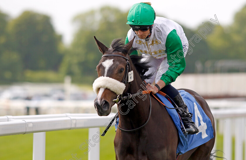 Nashur 
 NASHUR (Jack Mitchell)
York 10 Jun 2022 - Pic Steven Cargill / Racingfotos.com