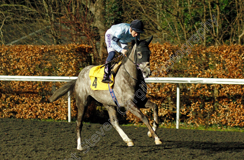 Harrow-0001 
 HARROW (David Probert)
Kempton 2 Mar 2022 - Pic Steven Cargill / Racingfotos.com