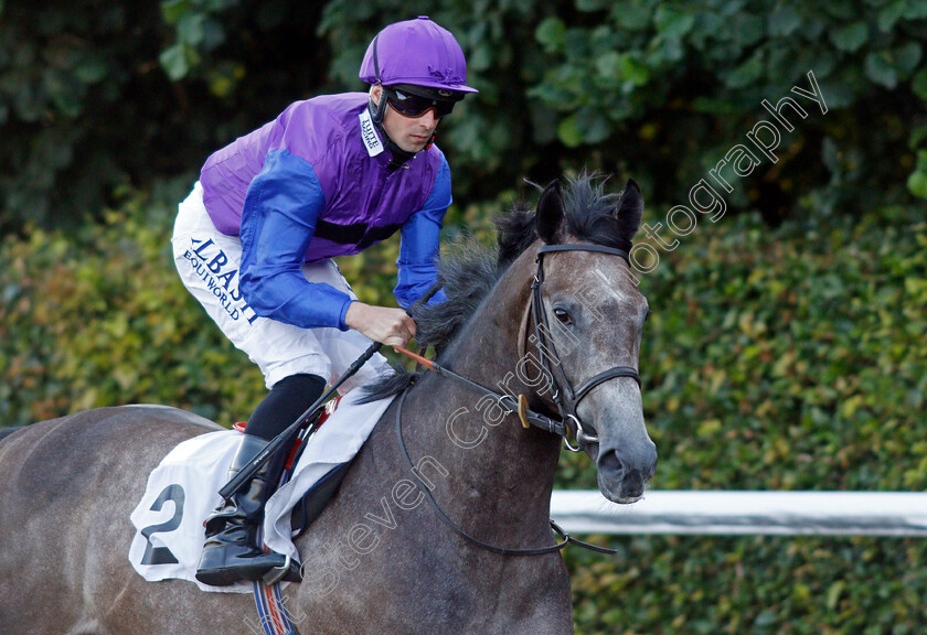 Adjudicator-0001 
 ADJUDICATOR (Jack Mitchell)
Kempton 4 Aug 2021 - Pic Steven Cargill / Racingfotos.com