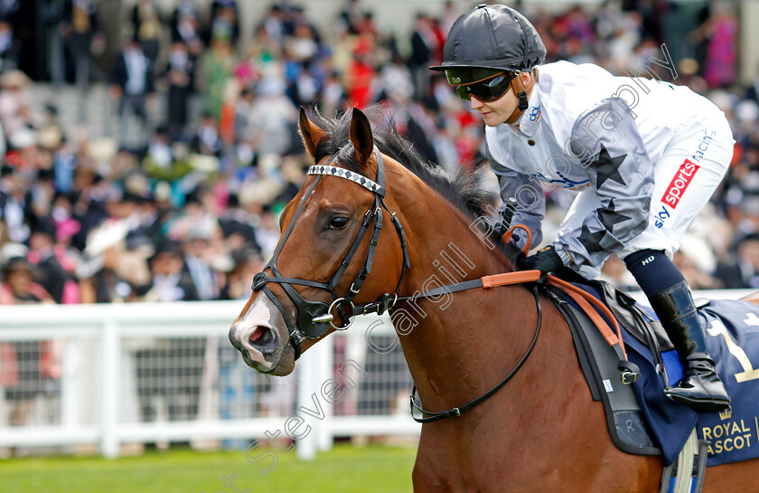 The-Man-0001 
 THE MAN (Hollie Doyle)
Royal Ascot 20 Jun 2024 - Pic Steven Cargill / Racingfotos.com