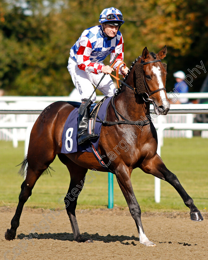 Rainbow-Jazz-0001 
 RAINBOW JAZZ (Steve Drowne) Lingfield 5 Oct 2017 - Pic Steven Cargill / Racingfotos.com